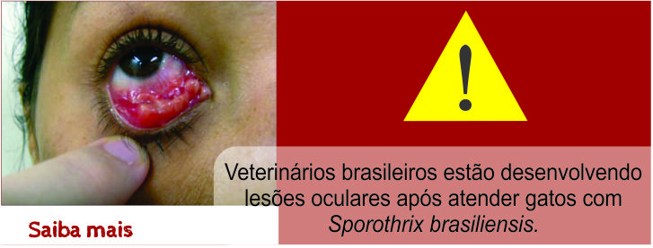 Med. Veterinários Brasileiros Estão Desenvolvendo Lesões Oculares