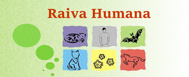 Raiva Humana é causa da morte de dona de pet shop